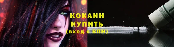 дживик Ладушкин