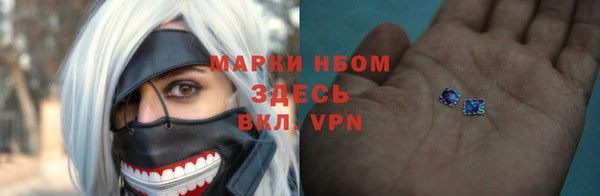 сатива Кукмор