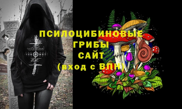 дживик Кулебаки