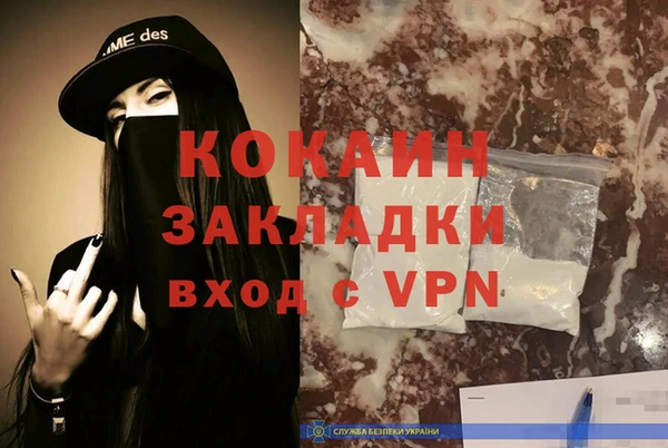 сатива Кукмор