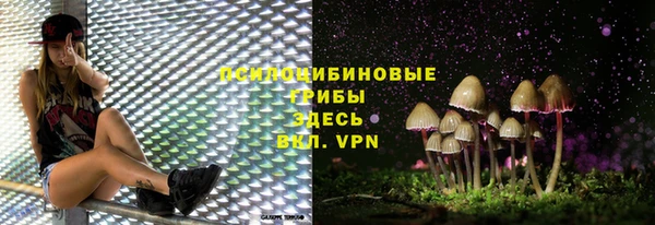 сатива Кукмор