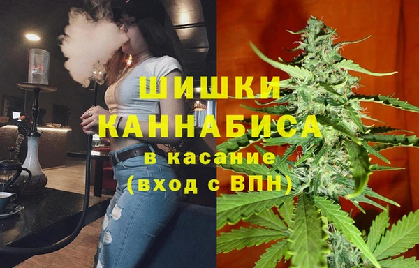 дживик Кулебаки