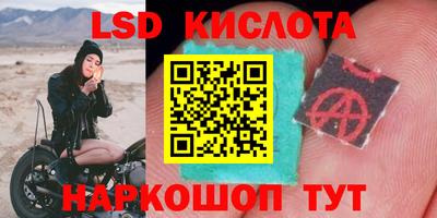 крисы Апшеронск