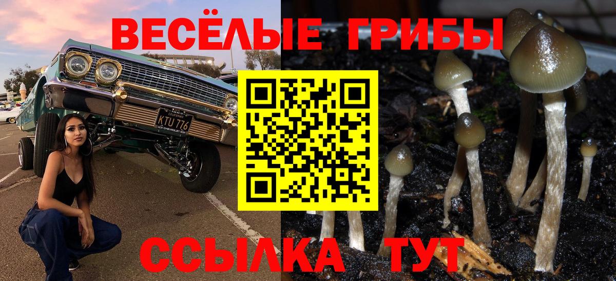 Псилоцибиновые грибы ЛСД  Псилоцибиновые грибы Psilocybine cubensis  Барнаул 