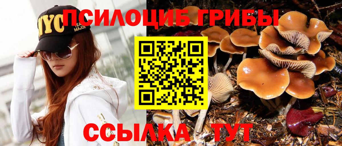 Барнаул  Галлюциногенные грибы мицелий  Вход с VPN 