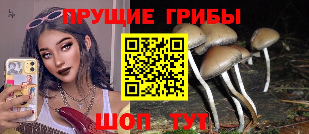 Галлюциногенные грибы MAGIC MUSHROOMS Барнаул