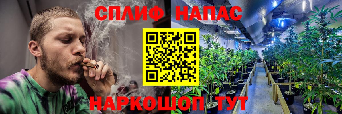 Шишки марихуана Amnesia Барнаул